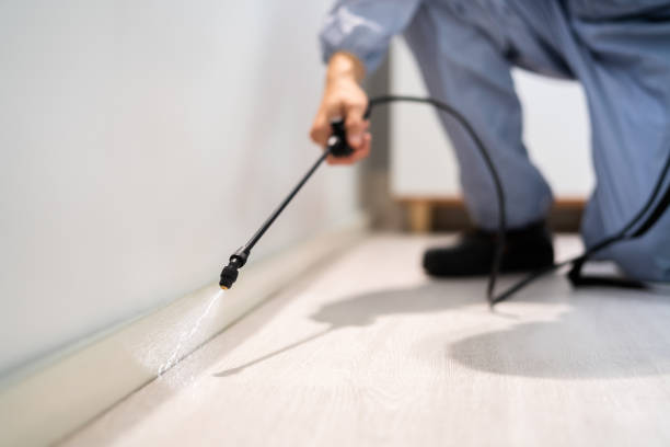 Licensed Termite Control service in High Point, NC - Nex Pest Control