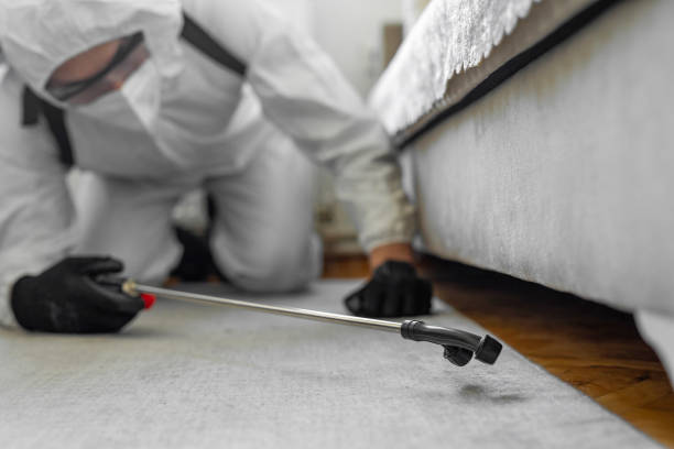 Professional Termite Control technician working in High Point, NC