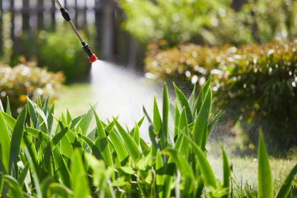 24/7 Emergency Termite Control experts in High Point, NC