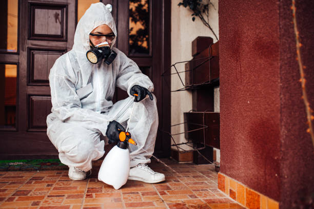 Reliable Termite Control contractor in High Point, NC by Nex Pest Control