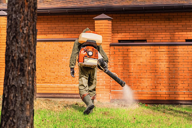Top rated local Termite Control specialists in High Point, NC